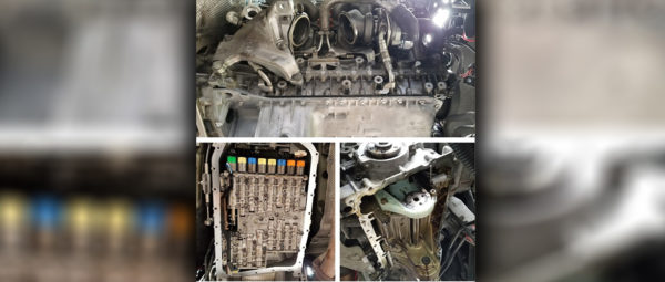 Auto Repair Corpus Christi, TX - Car Service | Elite Automotive